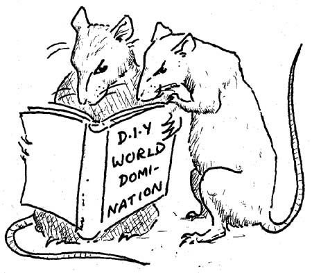 Rats plan world domination